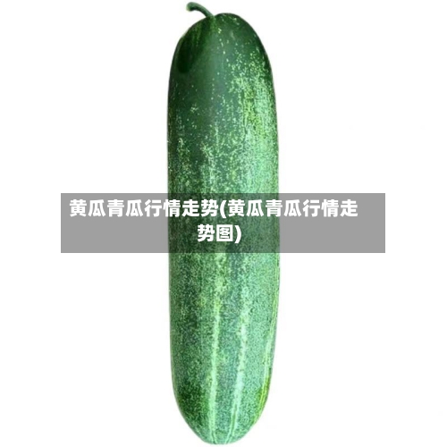 黄瓜青瓜行情走势(黄瓜青瓜行情走势图)-第1张图片