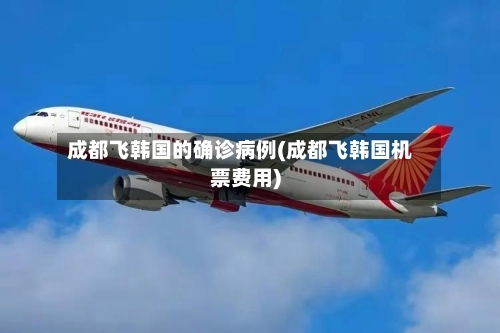 成都飞韩国的确诊病例(成都飞韩国机票费用)-第1张图片