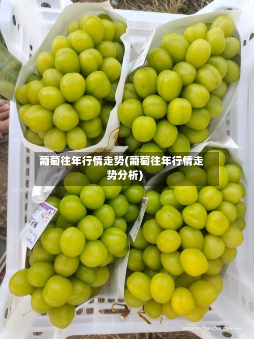 葡萄往年行情走势(葡萄往年行情走势分析)-第1张图片