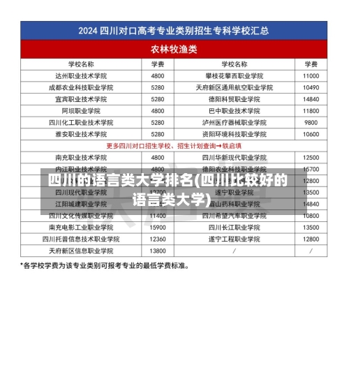 四川的语言类大学排名(四川比较好的语言类大学)-第1张图片