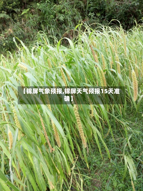 【锦屏气象预报,锦屏天气预报15天准确】-第1张图片
