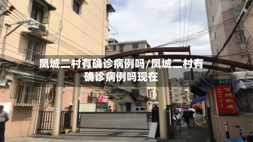 凤城二村有确诊病例吗/凤城二村有确诊病例吗现在-第1张图片