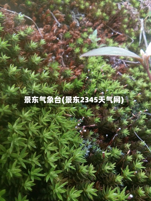 景东气象台(景东2345天气网)-第1张图片