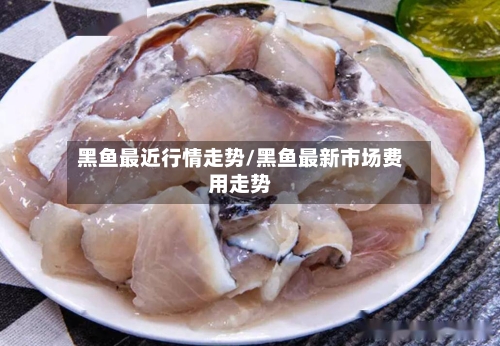 黑鱼最近行情走势/黑鱼最新市场费用走势-第1张图片