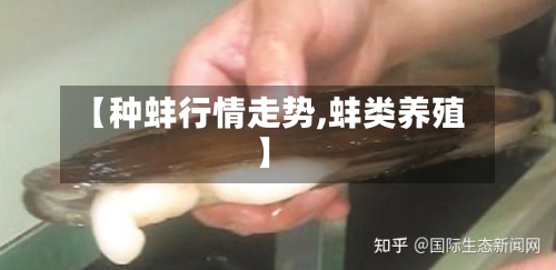 【种蚌行情走势,蚌类养殖】-第1张图片