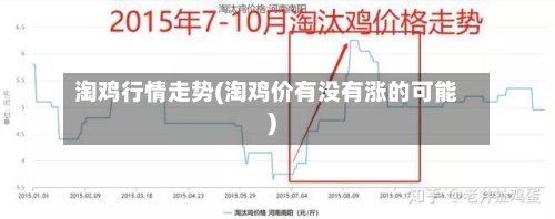淘鸡行情走势(淘鸡价有没有涨的可能)-第1张图片