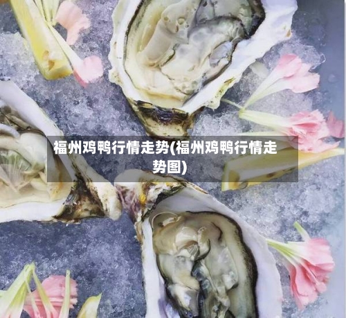福州鸡鸭行情走势(福州鸡鸭行情走势图)-第1张图片