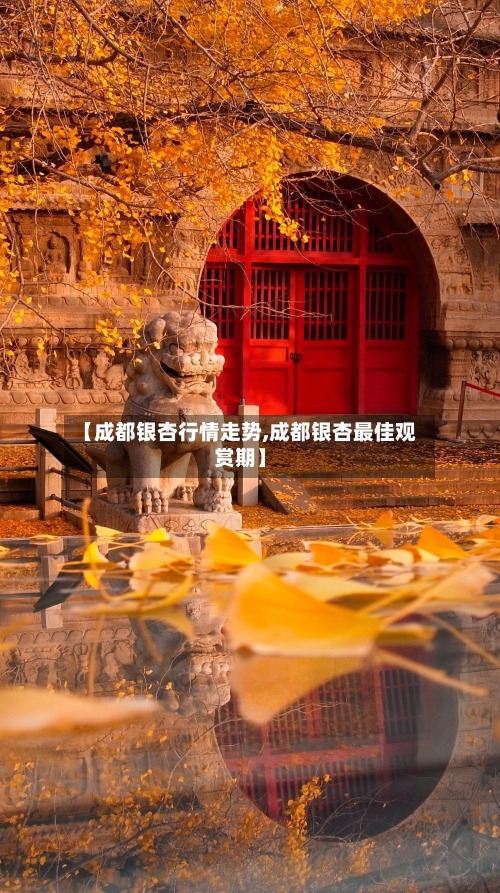 【成都银杏行情走势,成都银杏最佳观赏期】-第1张图片