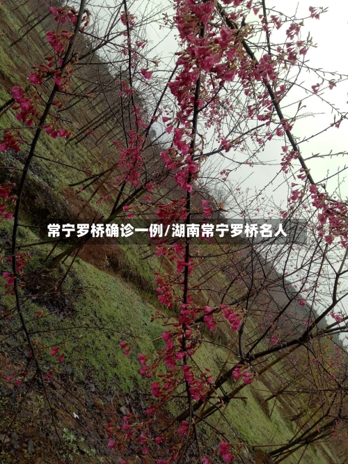 常宁罗桥确诊一例/湖南常宁罗桥名人-第1张图片