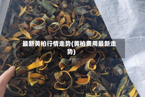 最新黄柏行情走势(黄柏费用最新走势)-第1张图片