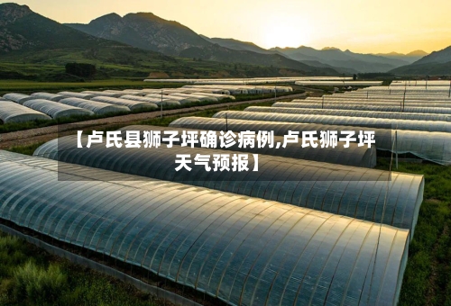 【卢氏县狮子坪确诊病例,卢氏狮子坪天气预报】-第1张图片