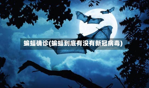 蝙蝠确诊(蝙蝠到底有没有新冠病毒)-第1张图片