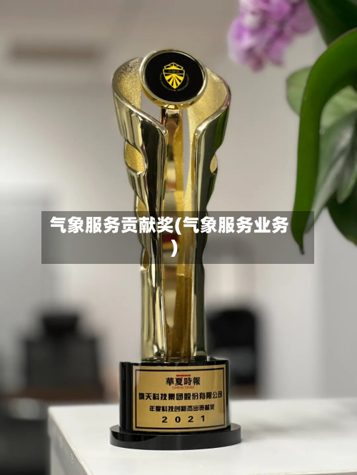气象服务贡献奖(气象服务业务)-第2张图片