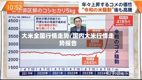 大米全国行情走势/国内大米行情走势报告-第2张图片