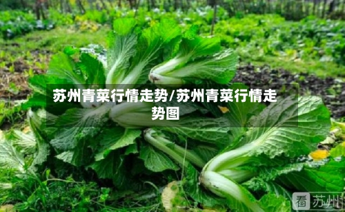 苏州青菜行情走势/苏州青菜行情走势图-第1张图片
