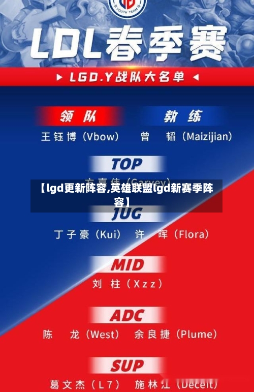 【lgd更新阵容,英雄联盟lgd新赛季阵容】-第1张图片