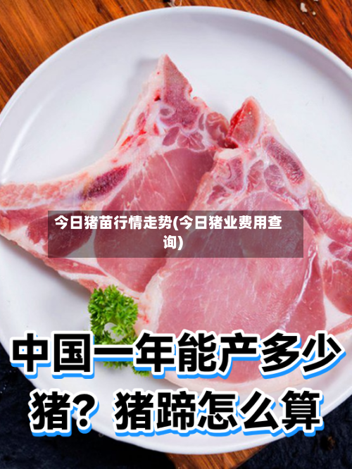 今日猪苗行情走势(今日猪业费用查询)
