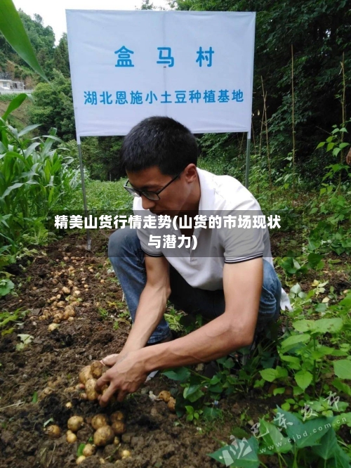 精美山货行情走势(山货的市场现状与潜力)-第1张图片