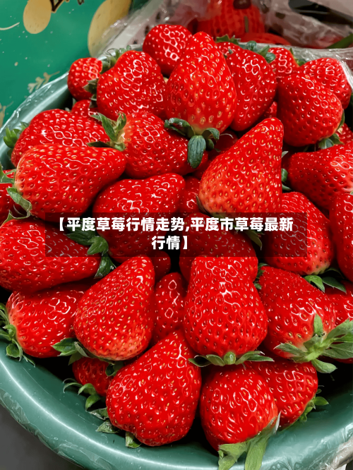 【平度草莓行情走势,平度市草莓最新行情】-第1张图片
