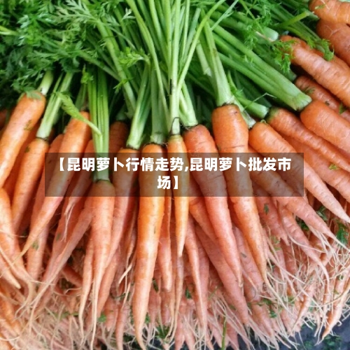 【昆明萝卜行情走势,昆明萝卜批发市场】