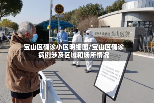 宝山区确诊小区明细图/宝山区确诊病例涉及区域和场所情况-第1张图片