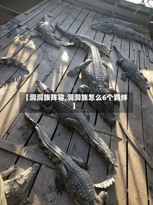【洞洞族阵容,洞洞族怎么6个羁绊】