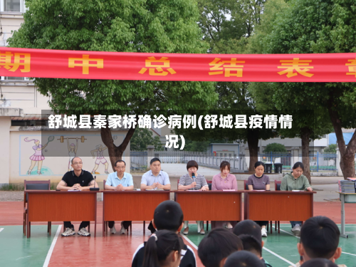 舒城县秦家桥确诊病例(舒城县疫情情况)-第3张图片