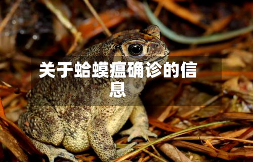 关于蛤蟆瘟确诊的信息-第3张图片