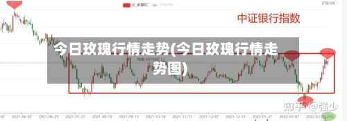 今日玫瑰行情走势(今日玫瑰行情走势图)-第1张图片