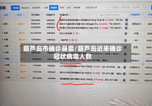 葫芦岛市确诊聂雷/葫芦岛近来确诊冠状病毒人数-第2张图片