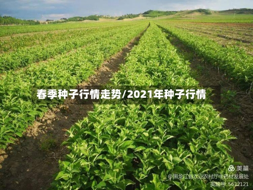 春季种子行情走势/2021年种子行情