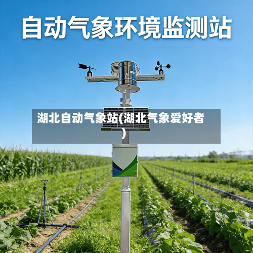 湖北自动气象站(湖北气象爱好者)-第3张图片