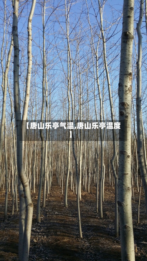 【唐山乐亭气温,唐山乐亭温度】-第1张图片