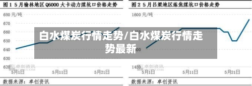 白水煤炭行情走势/白水煤炭行情走势最新-第2张图片