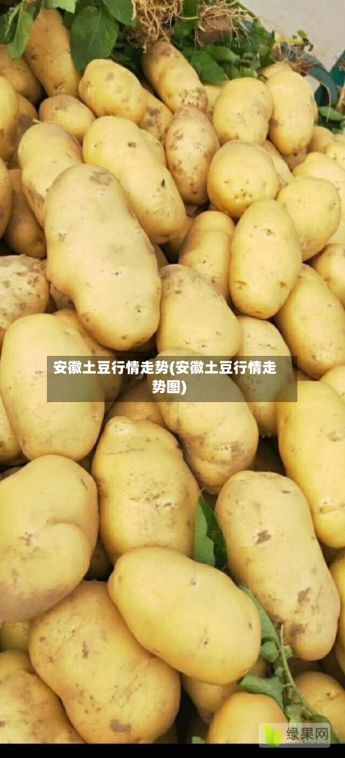 安徽土豆行情走势(安徽土豆行情走势图)-第1张图片