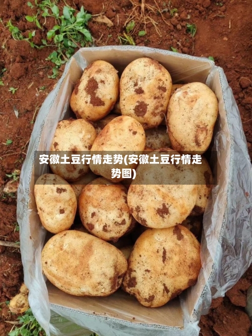 安徽土豆行情走势(安徽土豆行情走势图)-第2张图片