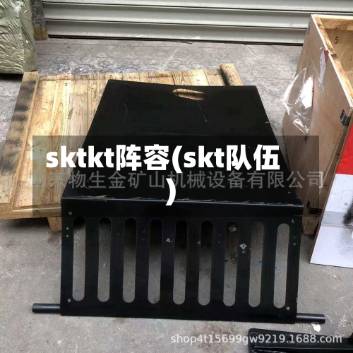 sktkt阵容(skt队伍)-第3张图片