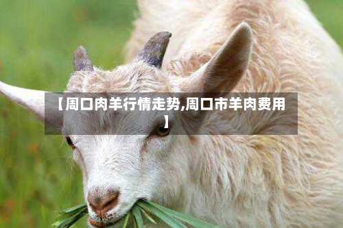 【周口肉羊行情走势,周口市羊肉费用】-第1张图片