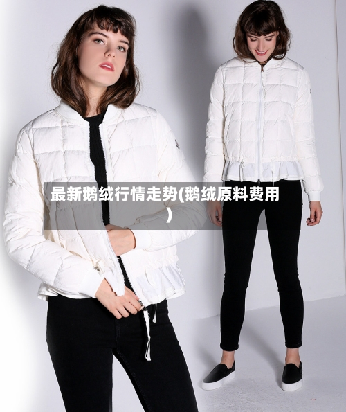 最新鹅绒行情走势(鹅绒原料费用)