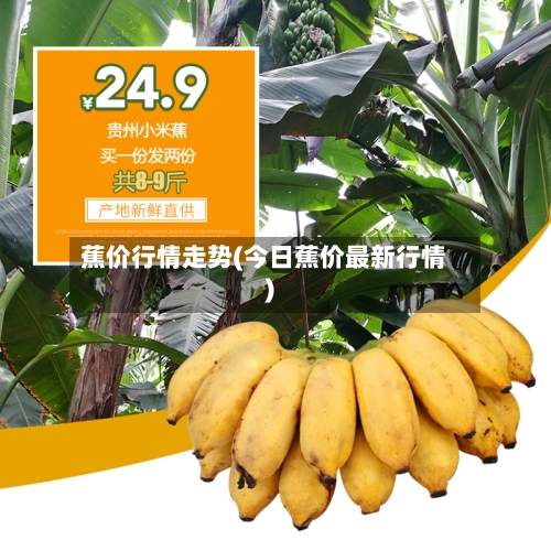 蕉价行情走势(今日蕉价最新行情)