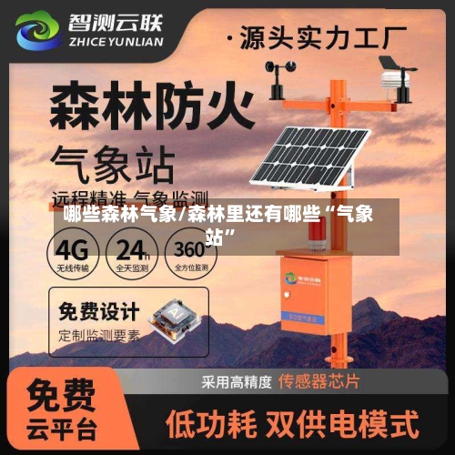 哪些森林气象/森林里还有哪些“气象站”