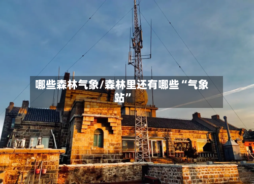 哪些森林气象/森林里还有哪些“气象站”-第2张图片