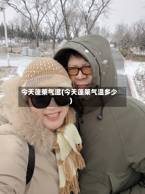 今天蓬莱气温(今天蓬莱气温多少)