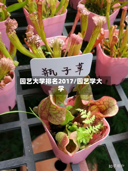 园艺大学排名2017/园艺学大学-第3张图片