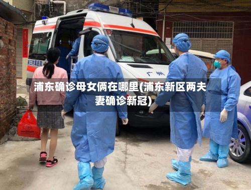 浦东确诊母女俩在哪里(浦东新区两夫妻确诊新冠)-第1张图片