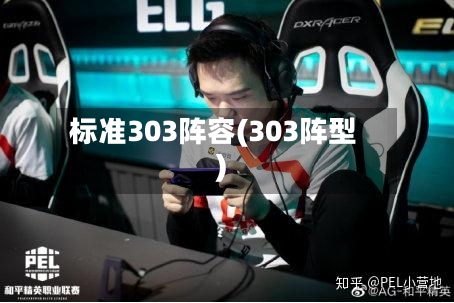 标准303阵容(303阵型)