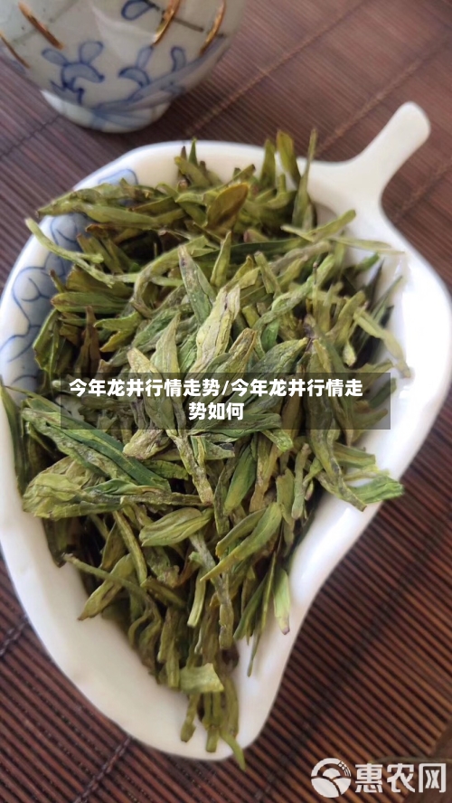 今年龙井行情走势/今年龙井行情走势如何