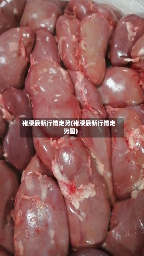 猪腰最新行情走势(猪腰最新行情走势图)