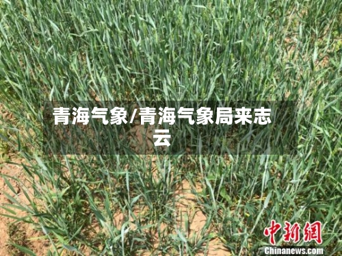 青海气象/青海气象局来志云