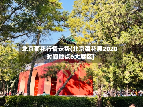 北京菊花行情走势(北京菊花展2020时间地点6大展区)